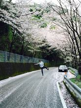 春がいっぱい。