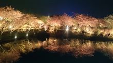 春ですね....... 春ですね.......