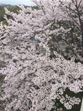 はじめての…
