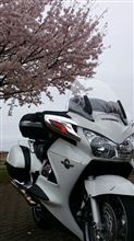 2015年 花見と初ツーリング♪