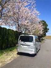 晴れの土曜日が好き