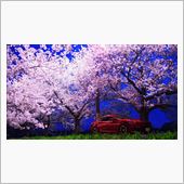 三代目が行く～今宵は夜桜ドラ ...