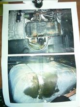 高速道路の凍結防止剤が原因か？