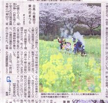 巾着田の菜の花