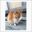ドラシャブーツ交換とオフ会
