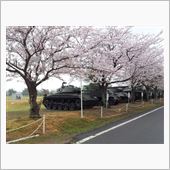 雨の日には車をみがいて