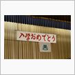 入学(^O^)
