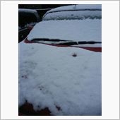 今日の雪にはビックリ！