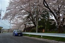 入学おめでとうd(≧∀≦*)そして私もおめでとう←？