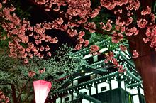 第90回　高田城百万人観桜会（4/9）
