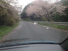 【奈良県】祈りの滝【自然】