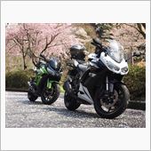 Ｗニンジャで桜だ！