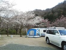 晴れそう！　お花見だ！