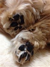 毛ぼうぼう！