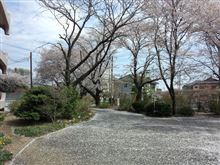 バタバタとしてました。 バタバタとしてました。