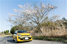 桜咲く