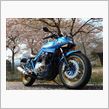 桜を求めて・・・ただバイクに乗りたかっただけ？