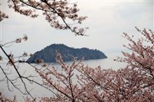 ちょっとお花見でした