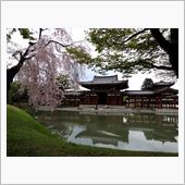京都の春