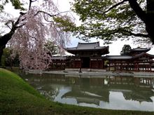 京都の春