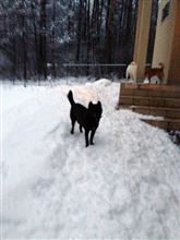 ４月になって２度目の積雪
