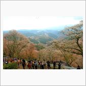 桜の名所でカメラ見物 201 ...
