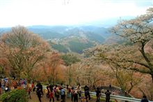 桜の名所でカメラ見物 20150414