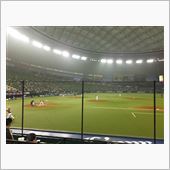 野球観戦（埼玉西武VS東北楽 ...
