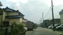 桜が舞う