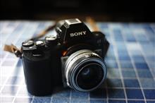 SONY α7+ROKKOR-QF 40mm F1.8(minolta Minoltina-S)