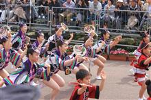 はなはるフェスタ2015