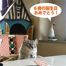 ６歳になりました