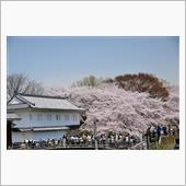 ４月１９日　ゆっくり出来ない ...