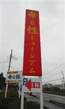 性の勉強