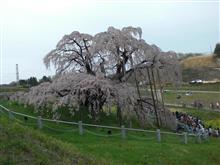 滝桜ぷちツーリング♪