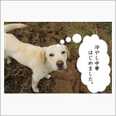 2015年4月18日・19日 ...