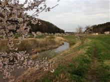 地元にも春の訪れが＾＾