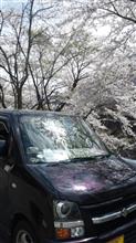 春。 春。