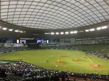 野球観戦（埼玉西武VS北海道日本ハム）