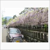 展海峰＆藤山神社☆彡
