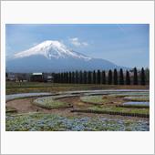 GW前に山中湖パノラマ台など