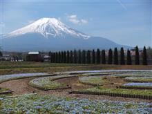 GW前に山中湖パノラマ台など