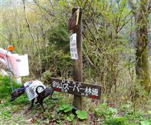 日本最長の林道（剣山スーパー林道）に行ってみました