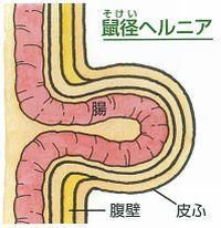 大変ご無沙汰しております。