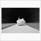 ﾊﾟｼｬｯ! Σp[【◎】] ...