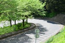 新緑の中を軽くドライブ