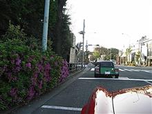 代官山モーニングクルーズ特別バージョン 代官山モーニングクルーズ特別バージョン
