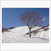 春の「月山」スキー♪