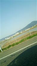 春ですね