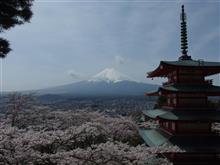  ぐるっと富士山桜ドライブ Part2